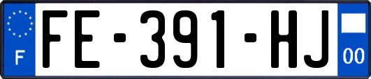 FE-391-HJ