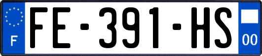 FE-391-HS