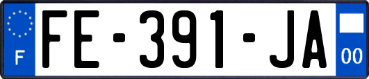 FE-391-JA