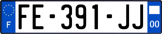 FE-391-JJ