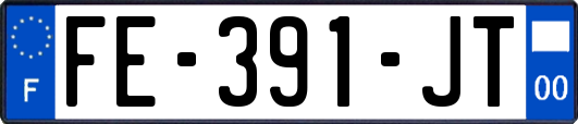 FE-391-JT