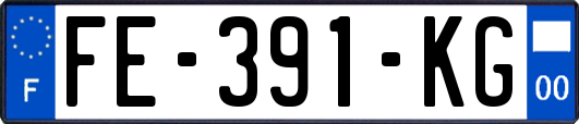 FE-391-KG