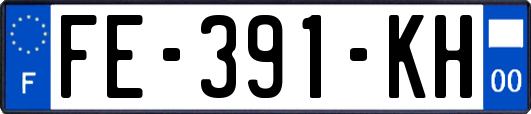FE-391-KH
