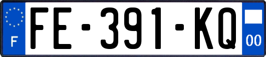 FE-391-KQ