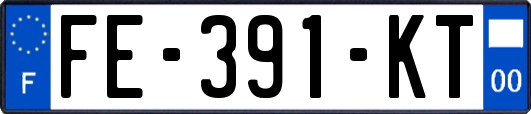 FE-391-KT
