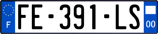 FE-391-LS