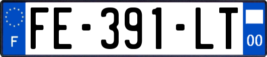 FE-391-LT