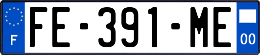 FE-391-ME