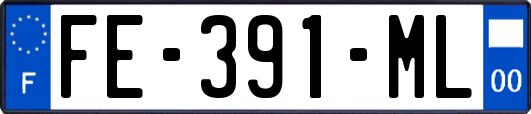 FE-391-ML