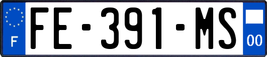 FE-391-MS