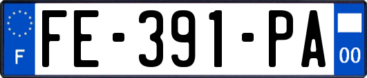 FE-391-PA