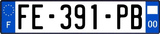 FE-391-PB