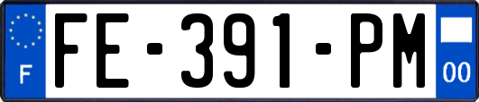 FE-391-PM