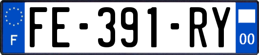 FE-391-RY