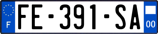 FE-391-SA