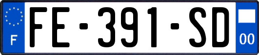 FE-391-SD