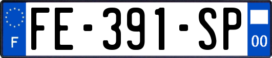 FE-391-SP