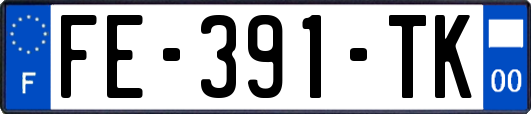 FE-391-TK