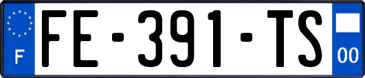 FE-391-TS