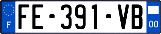 FE-391-VB