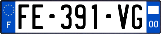FE-391-VG