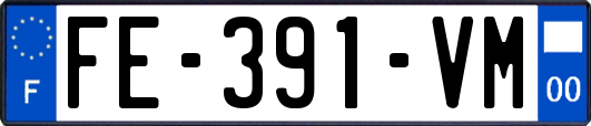 FE-391-VM