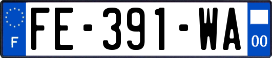 FE-391-WA