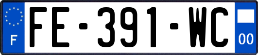 FE-391-WC