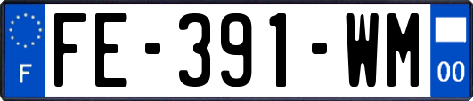 FE-391-WM