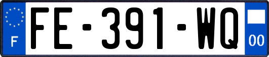FE-391-WQ