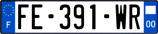FE-391-WR