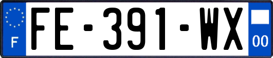 FE-391-WX