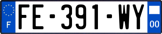 FE-391-WY