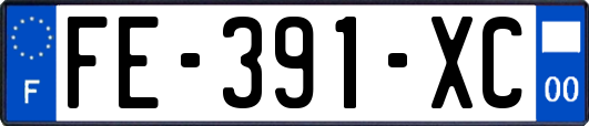 FE-391-XC