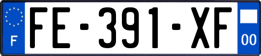 FE-391-XF