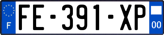 FE-391-XP