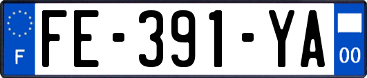 FE-391-YA