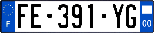 FE-391-YG