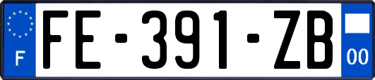 FE-391-ZB