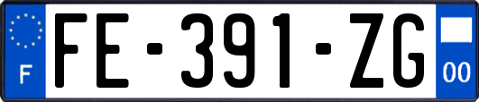 FE-391-ZG