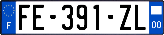 FE-391-ZL