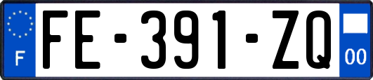 FE-391-ZQ