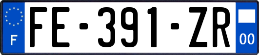 FE-391-ZR