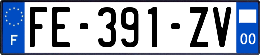 FE-391-ZV