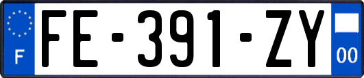 FE-391-ZY