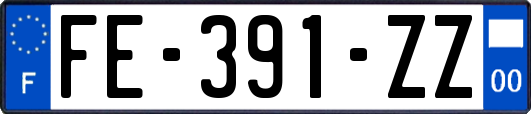 FE-391-ZZ