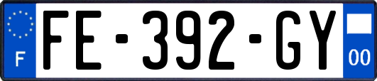 FE-392-GY