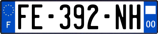 FE-392-NH