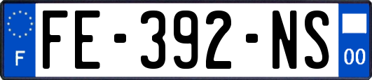 FE-392-NS