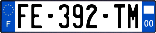 FE-392-TM